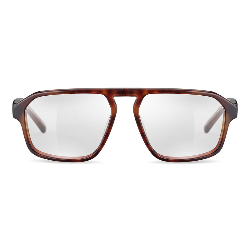 EPID 02, Havana Shiny-, hi-res image number null